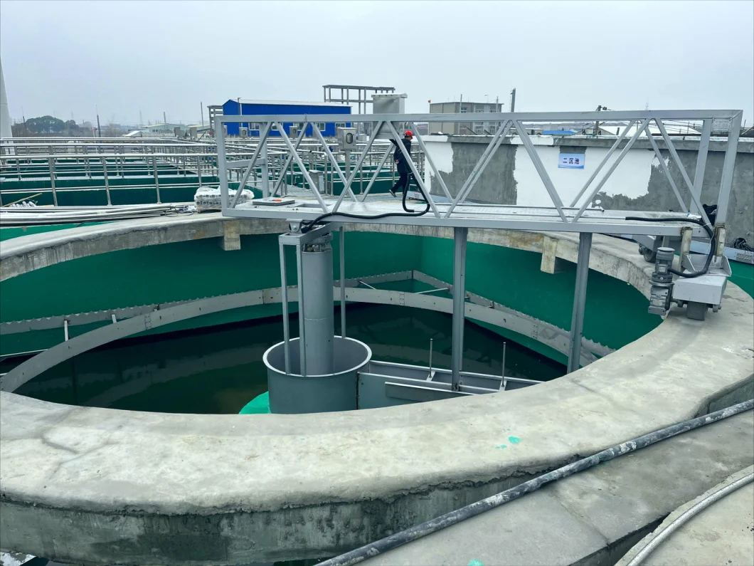 China Wastewater Peripheral Driving Center Drive Thickener Rotating Sludge Scraper Equipment