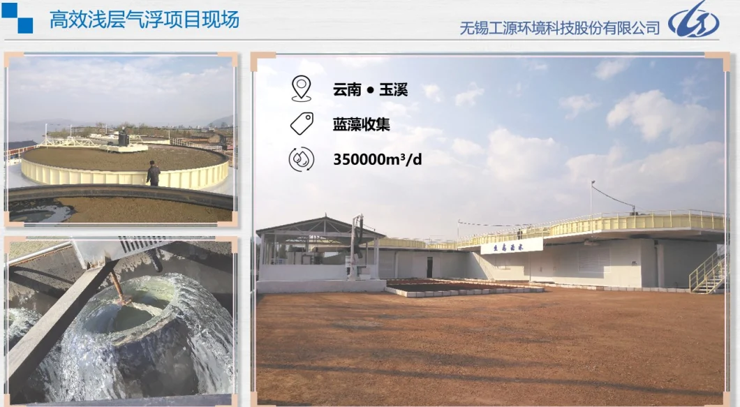 Paper Sewage Treatment Equipment Shallow Dissolved Air Flotation Daf